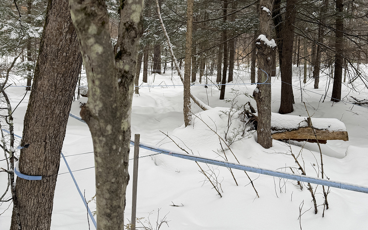 Might be time to pivot